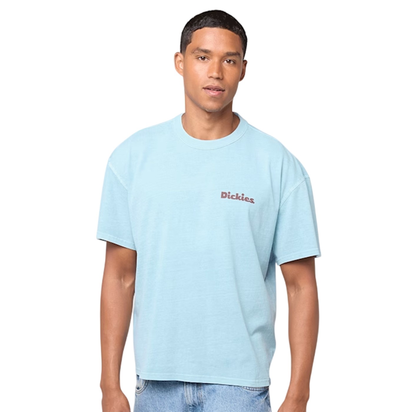 Dickies - Camiseta Celeste para Hombre - Slayden
