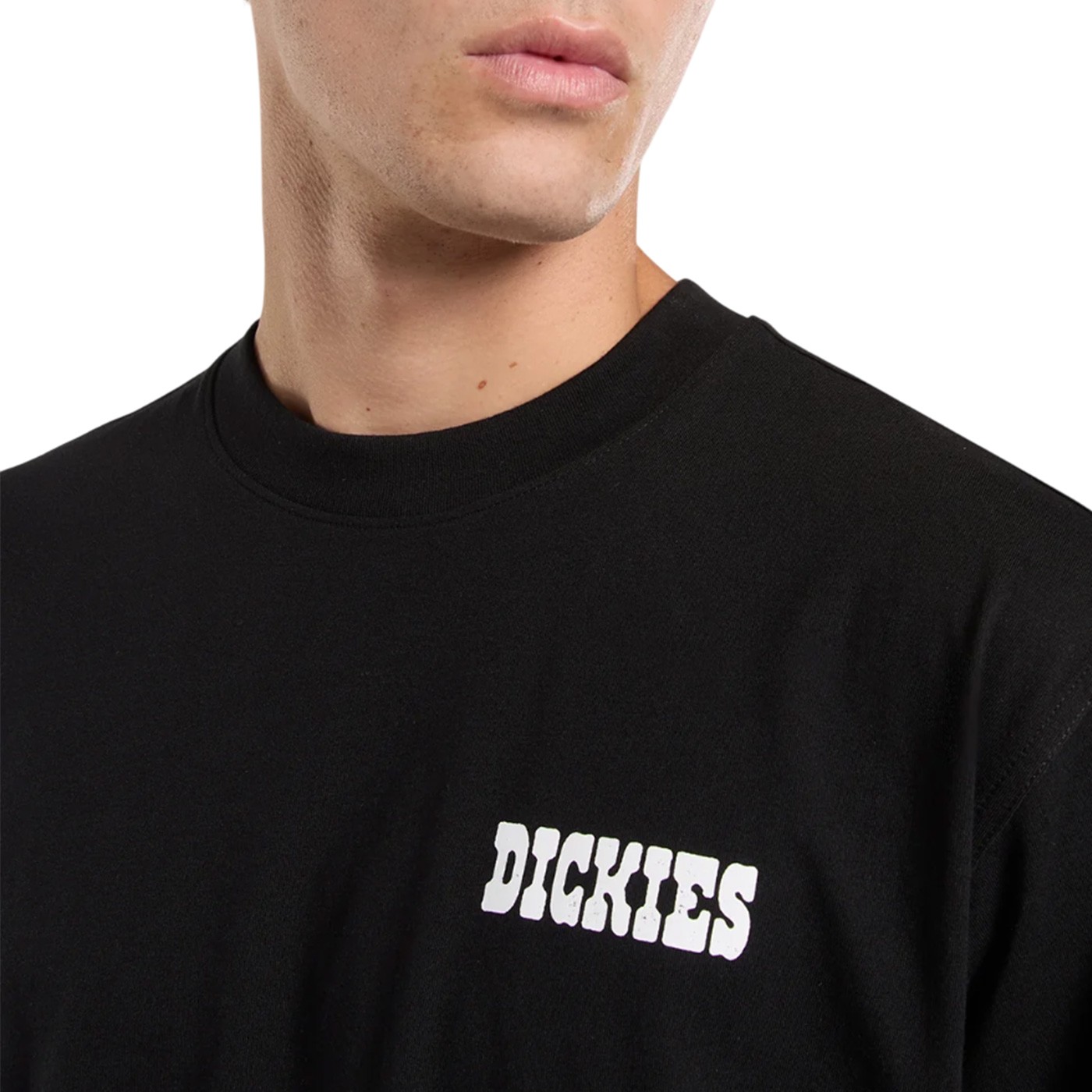 Dickies - Camiseta Negra para Hombre - Plain City